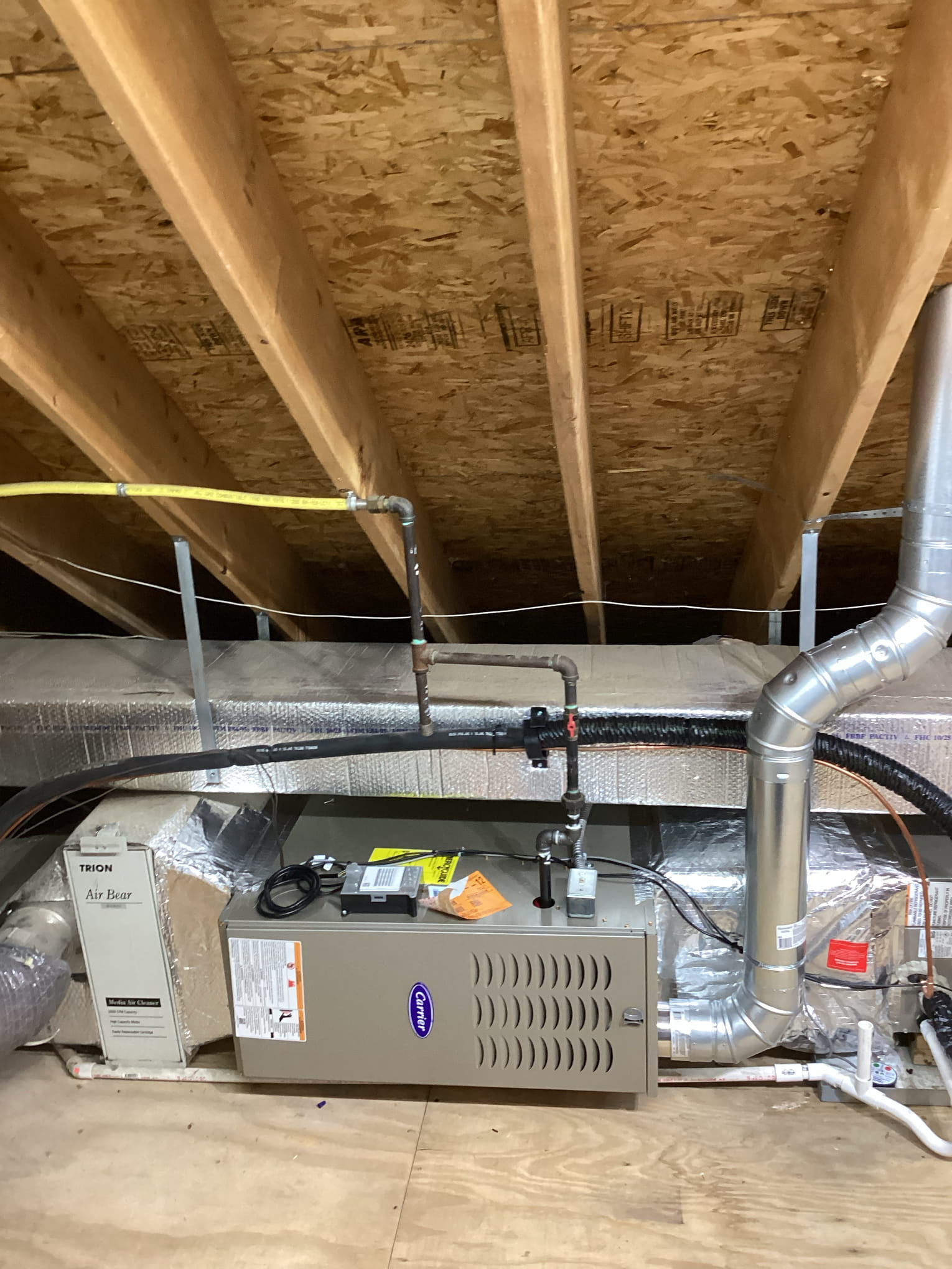 Dennis, Dominic, Jonah