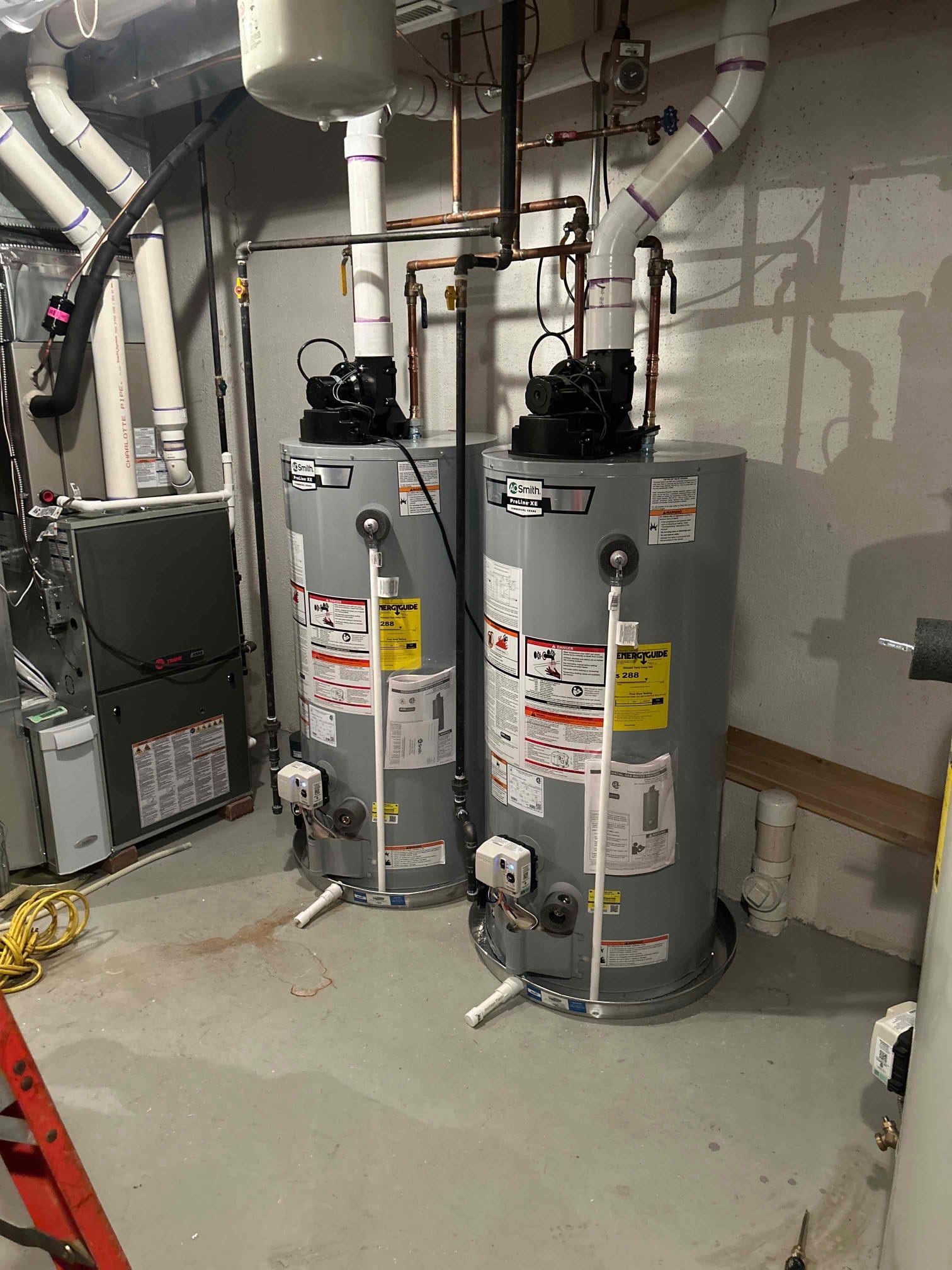 Jeremy, Nathan K, Trevon