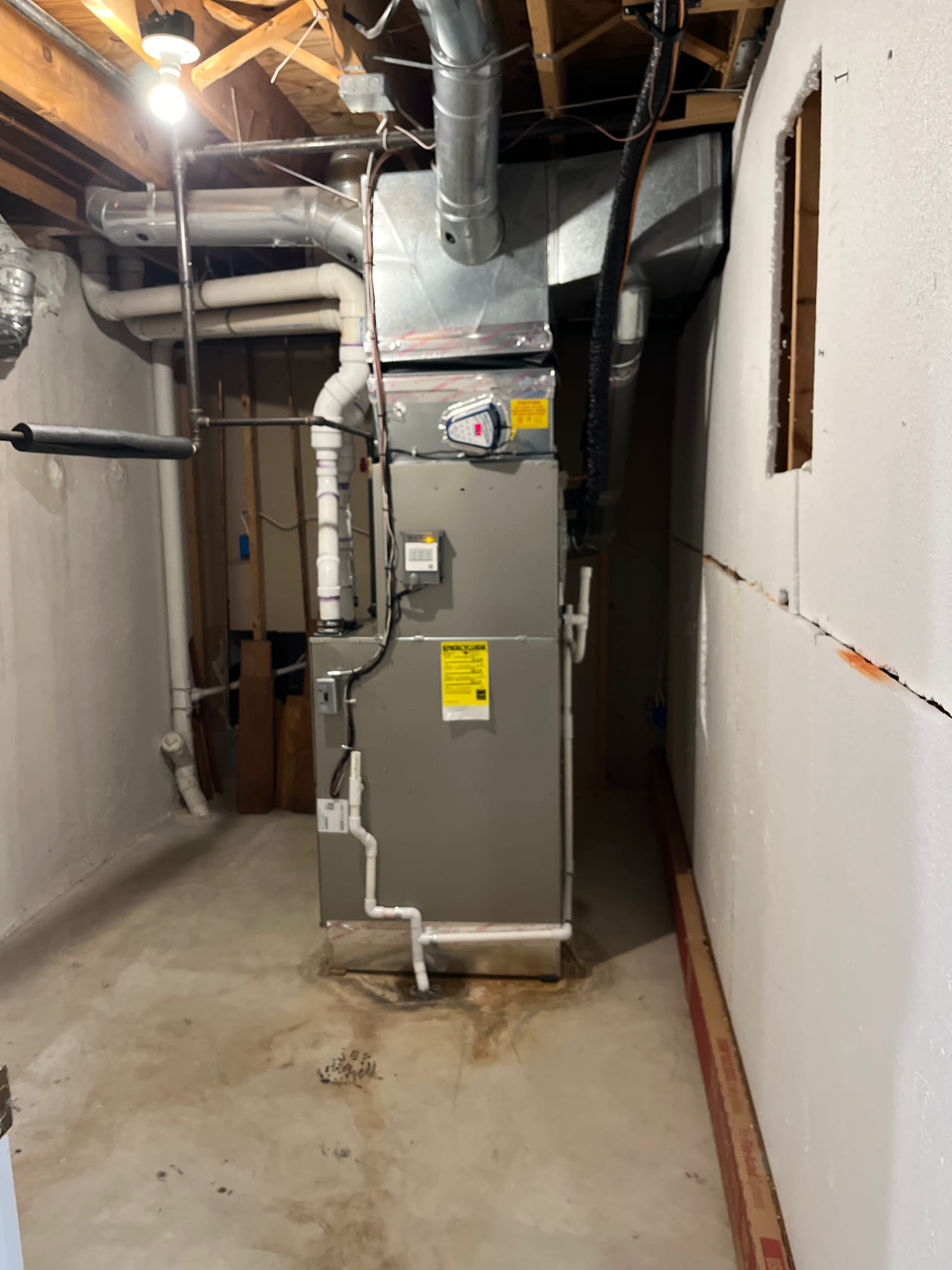 Dominic, Eric, Javier, Nathan