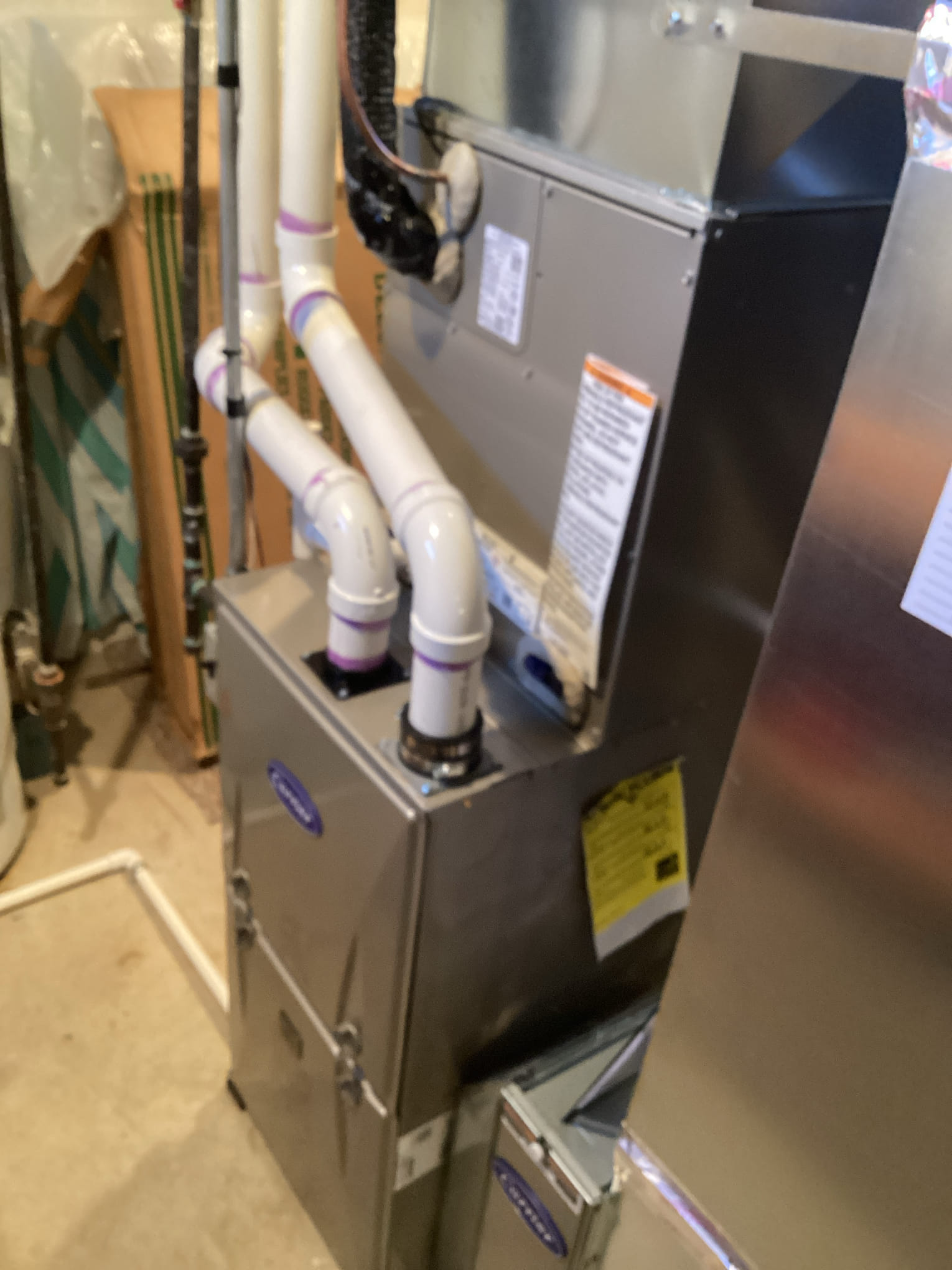 Dennis, Rodolfo, Scott