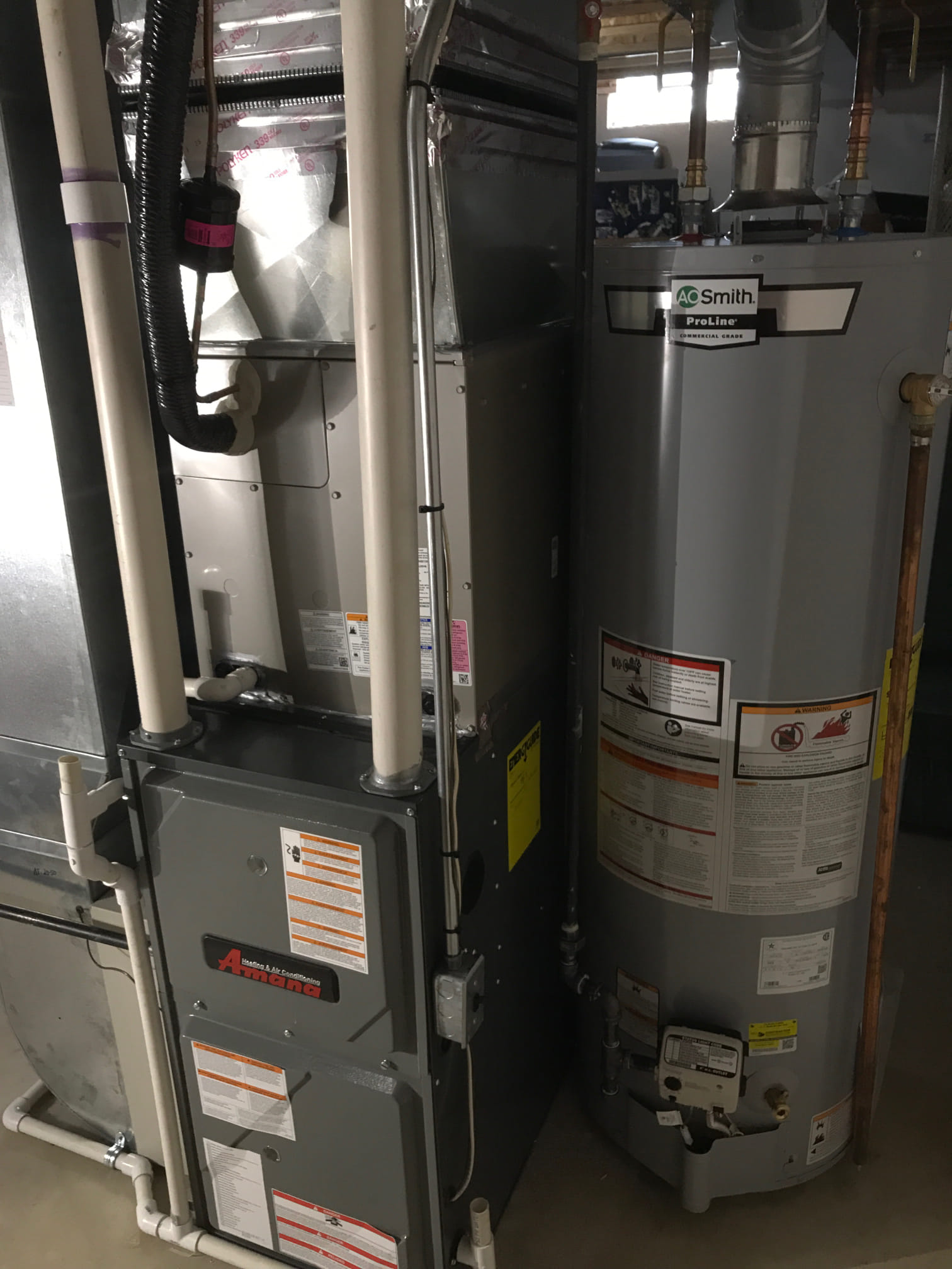 Anthony, Dillon, Jeremy, Murad