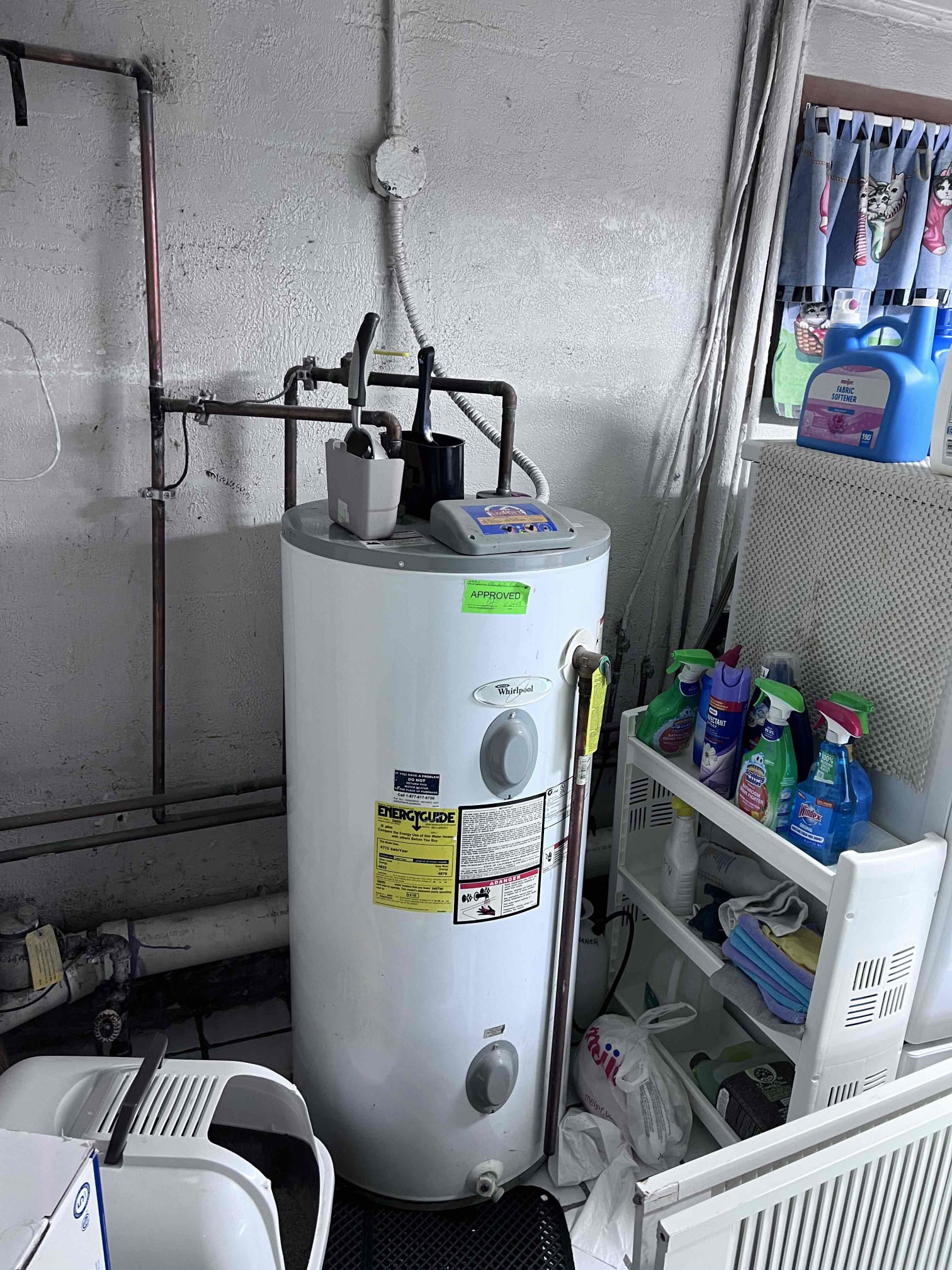 Dominic, Eric, Jonah