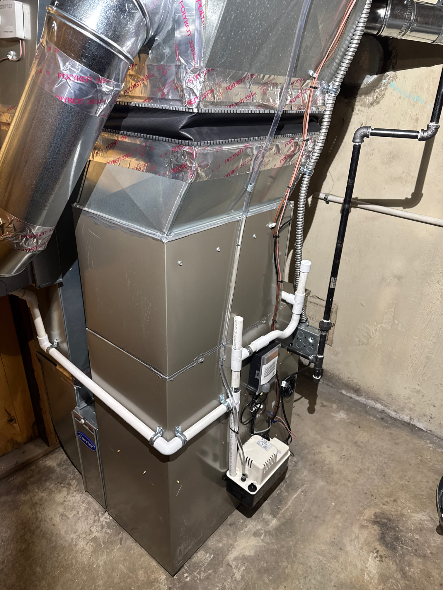 Dominic, Jonah, Rodolfo