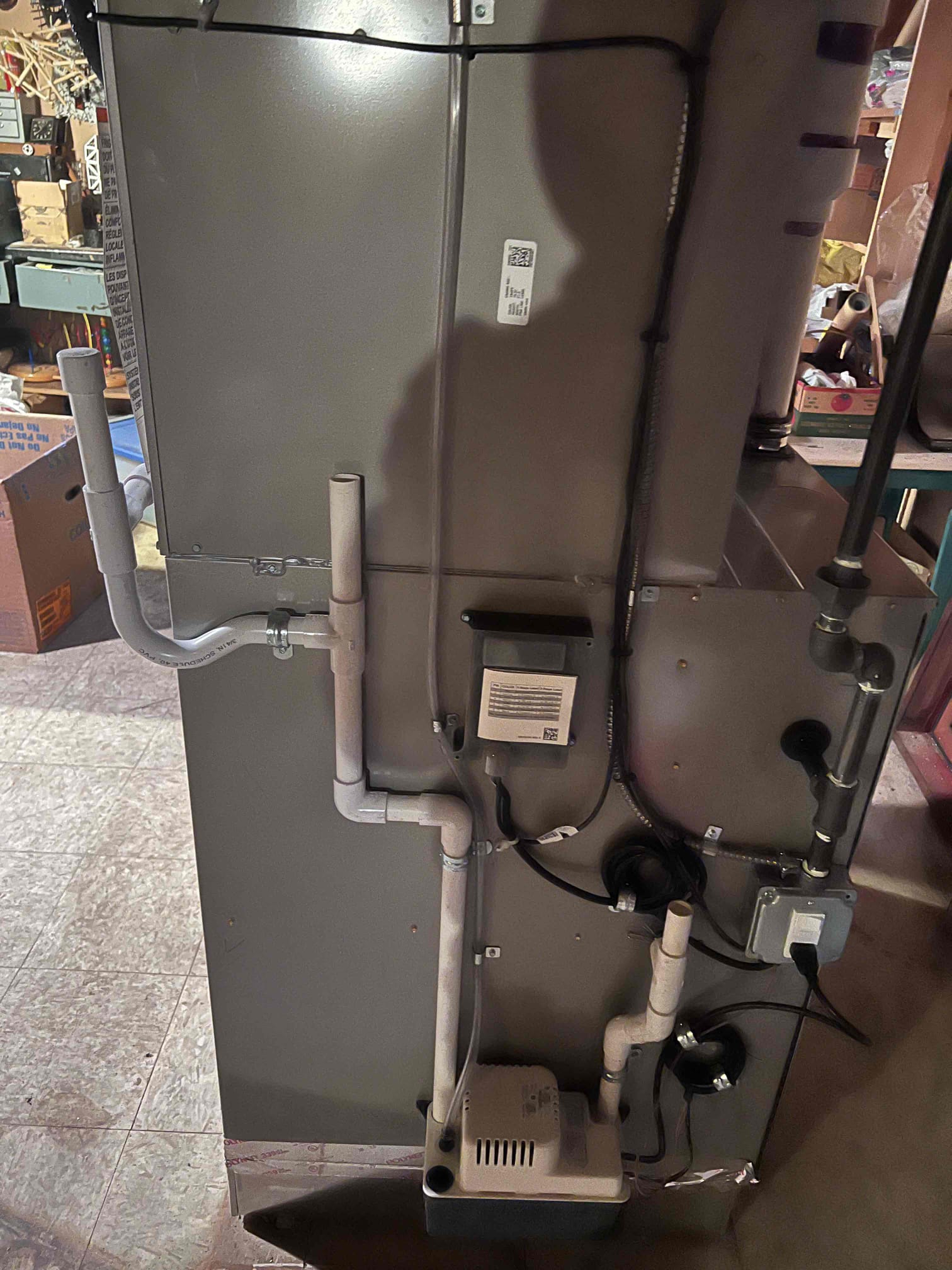 Greg, Javier, Nathan, Rodolfo