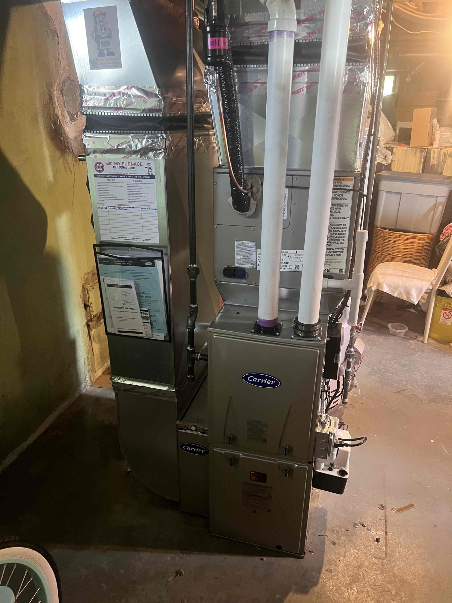 Dillon, Greg, Rodolfo