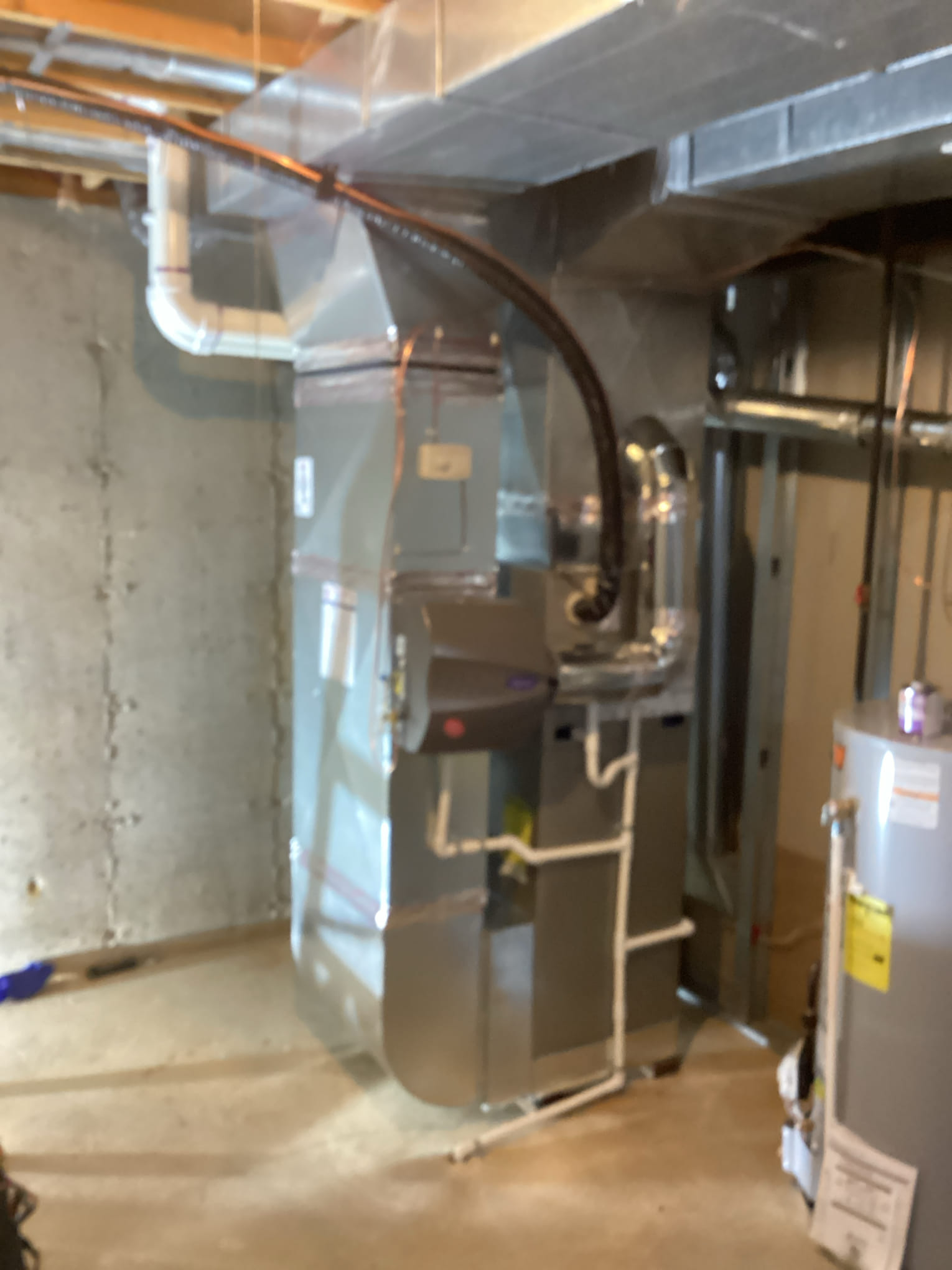 Dennis, Jonah, Scott