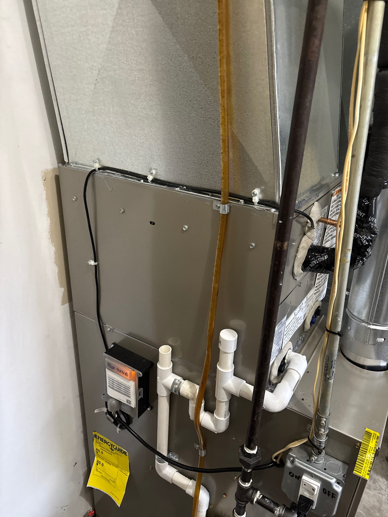 Dennis, Dillon, Kyle S, Nathan K