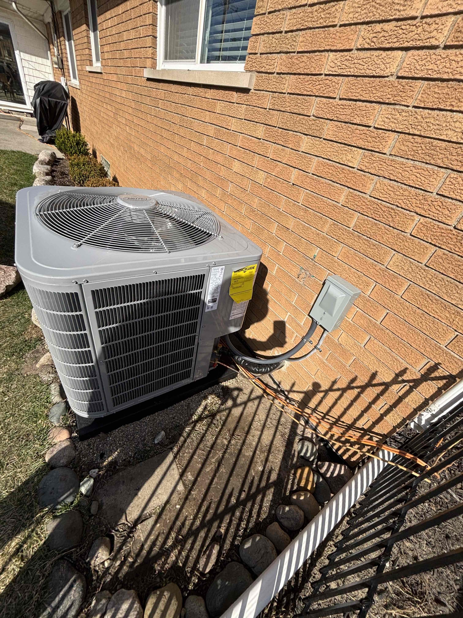 Dennis, Kyle S, Rodolfo