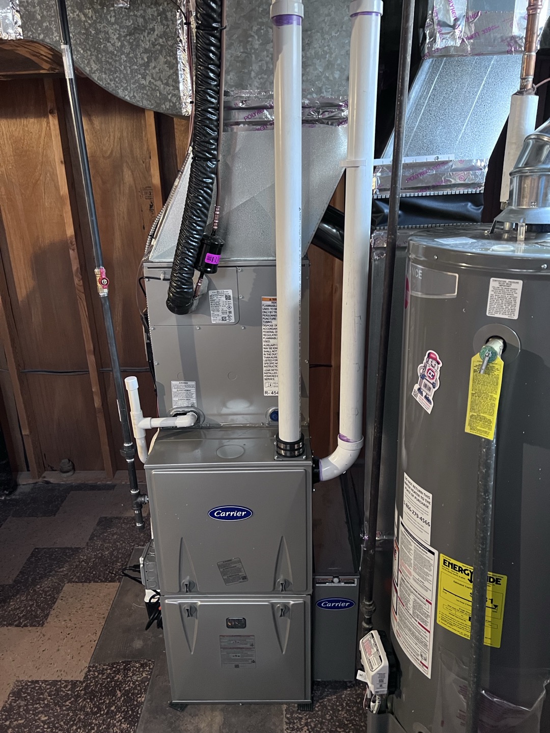 Dillon, Dominic, Eric