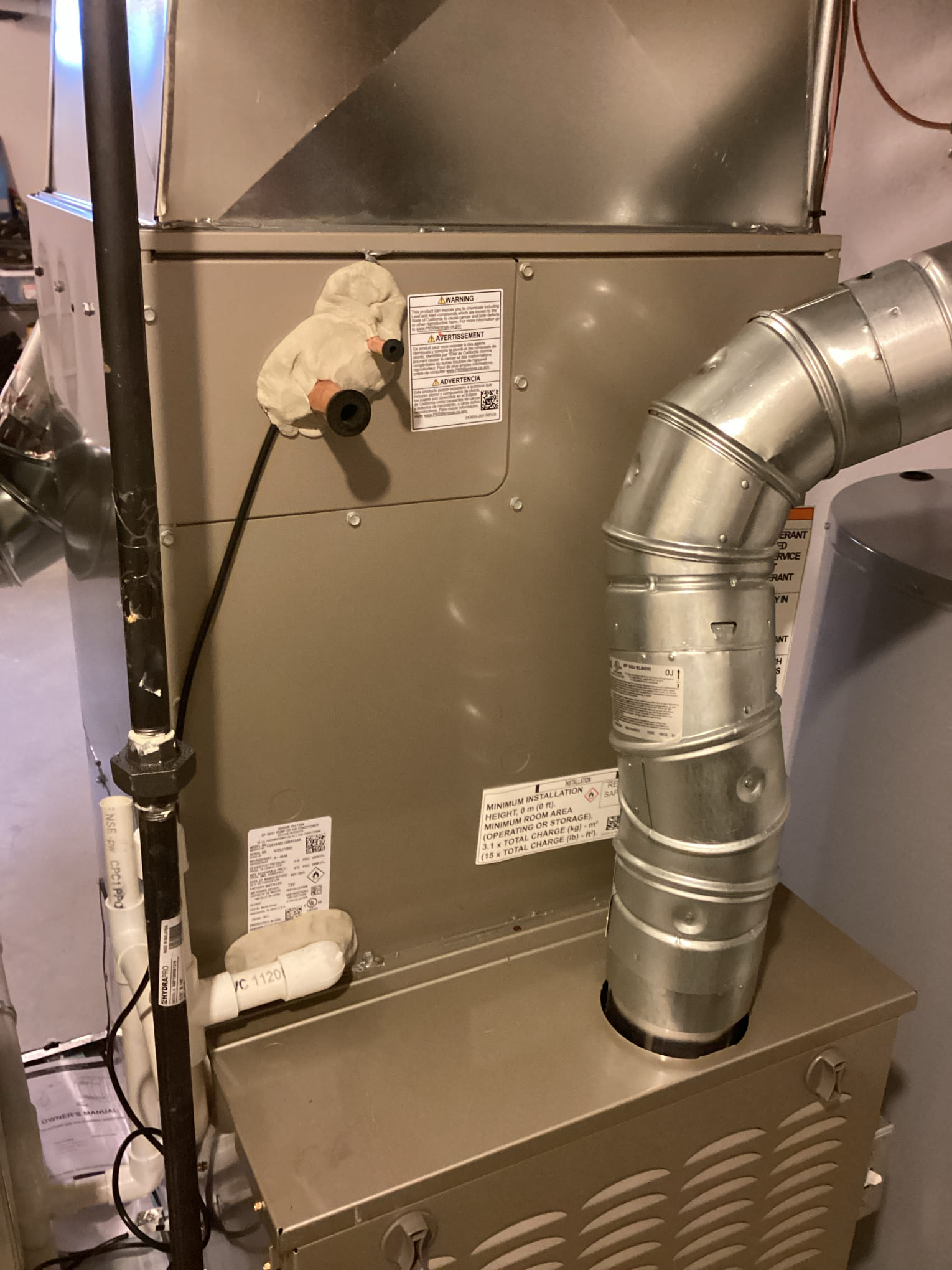 Dennis, Dillon, Jonah