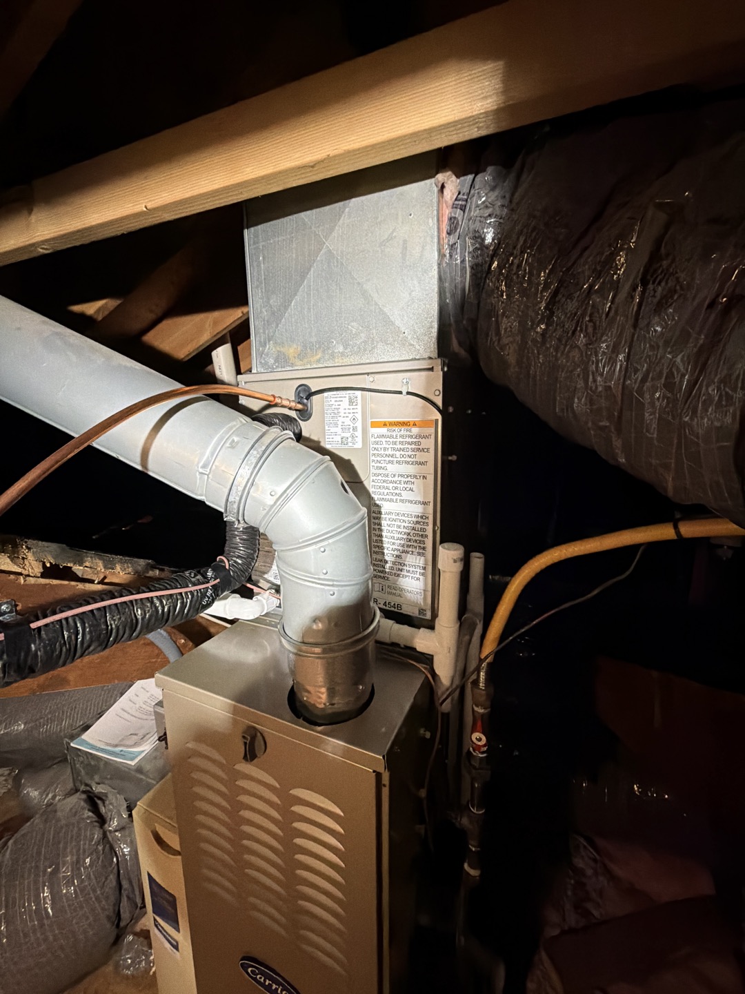 Dennis, Jeremy, Nathan K, Rodolfo