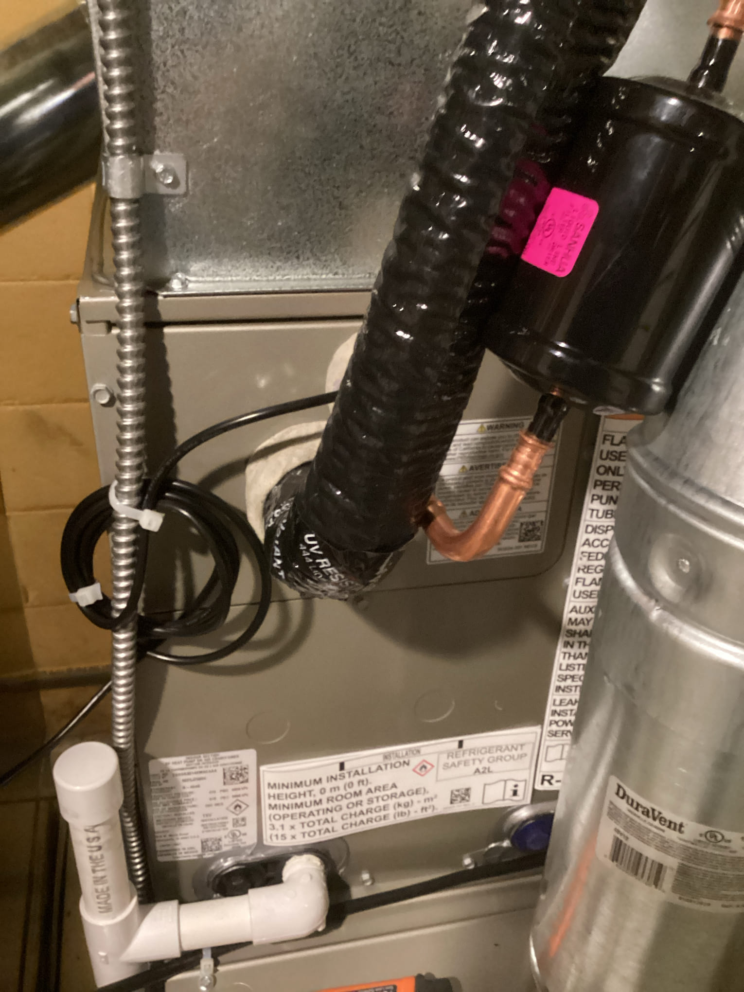 Dennis, Jonah, Rodolfo