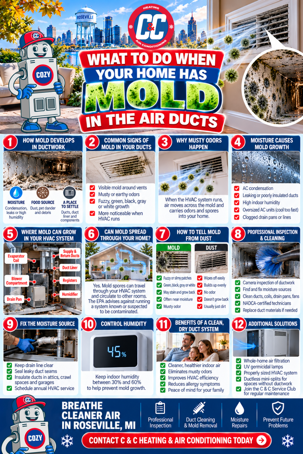 Infographic by C&C Heating providing a 12-step guide on identifying, preventing, and performing mold removal for mold in air ducts. | C & C Heating & Air Conditioning