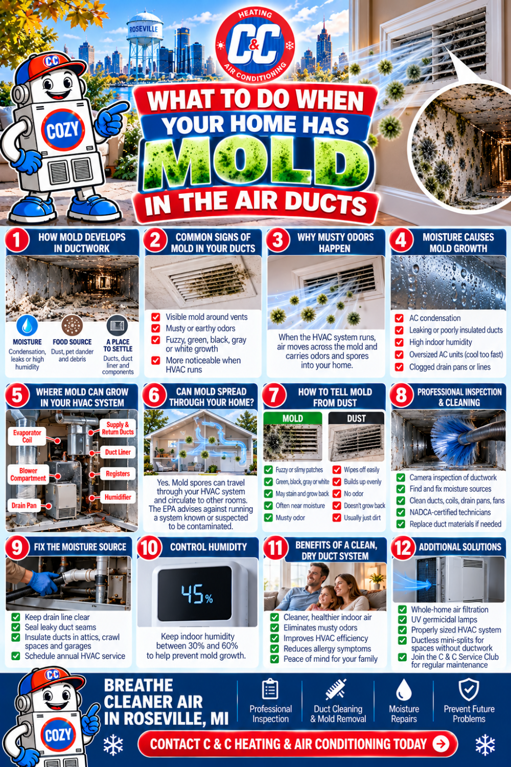 Infographic What to do when your home has mold in the air ducts